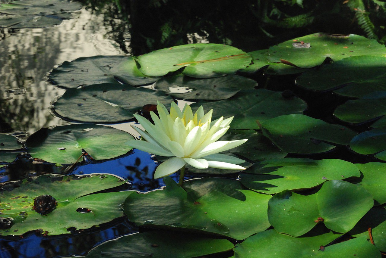 photo_2024-09-07_12-51-35